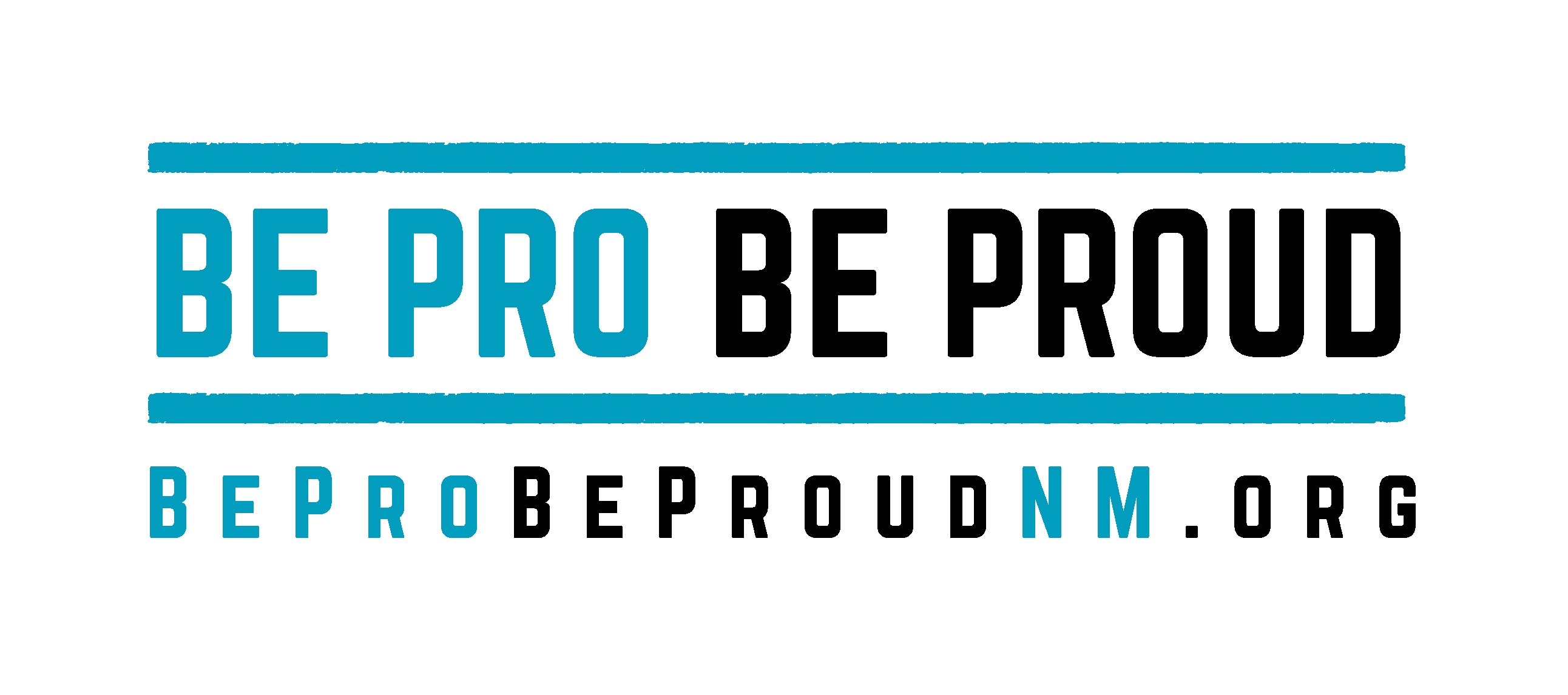 BPBP_NM_Horizontal_TurquoisBlack