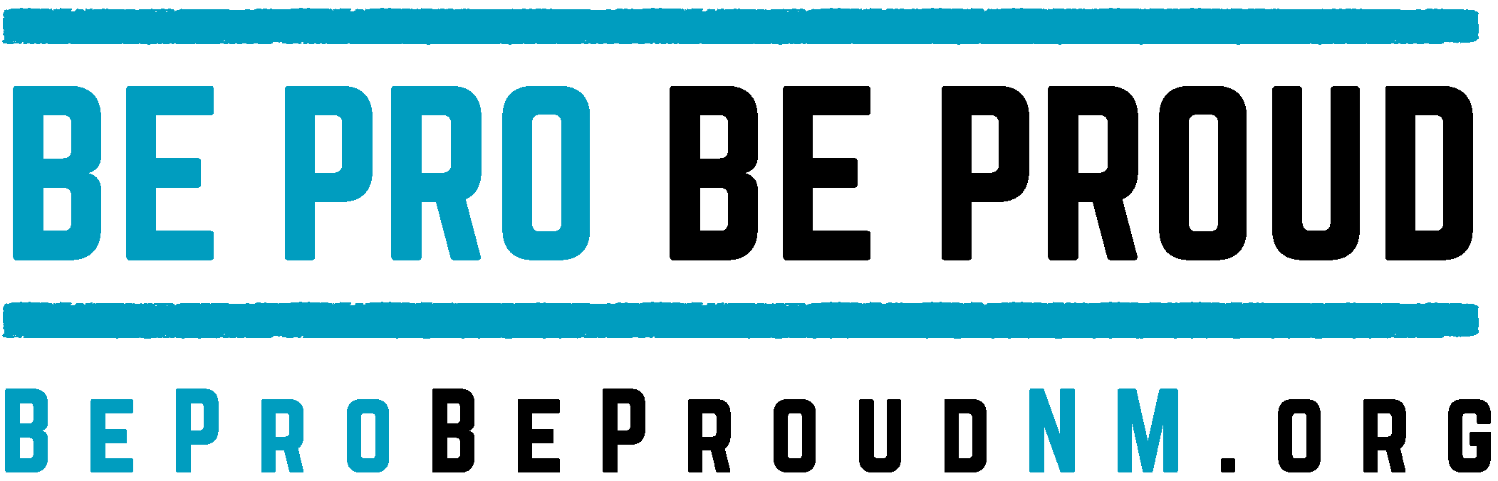 BPBP_NM_Horizontal_TurquoisBlack-1